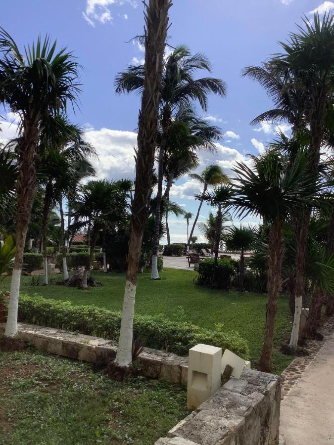 Beachaccess Hotelzone 3705 Cancún Esterno foto
